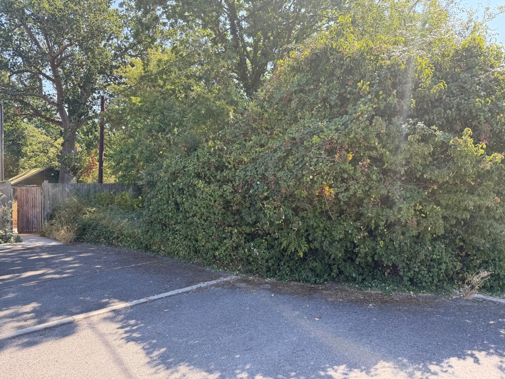 Lot: 49 - BUILDING PLOT IN ESTABLISHED RESIDENTIAL LOCATION - Driveway and access